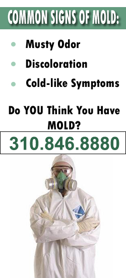 Pacific Palisades Mold Remediation Contractor