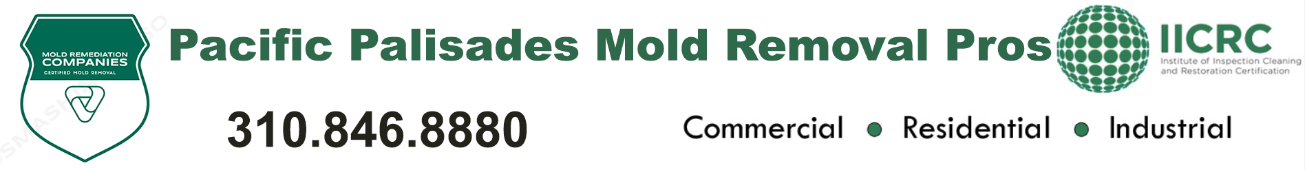 Pacific Palisades Mold Removal Pros